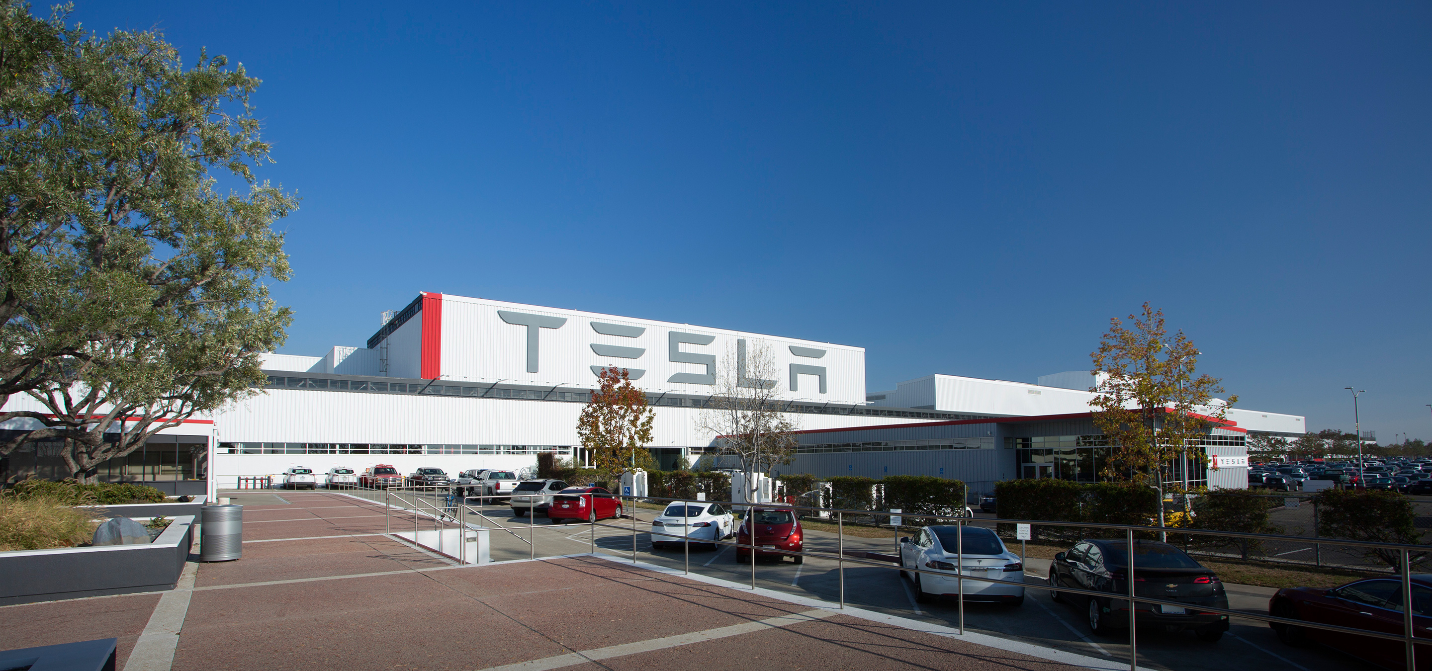 Guanajuato y Texas invitan a Tesla a producir sus autos en esos estados