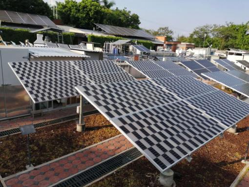Agrivoltaics: el nuevo proyecto del IER-UNAM y Solarever para aplicar energía agrovoltaica en México