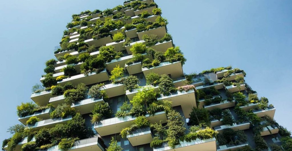 Meor: Promoviendo la sostenibilidad en la industria inmobiliaria a través de prácticas responsables