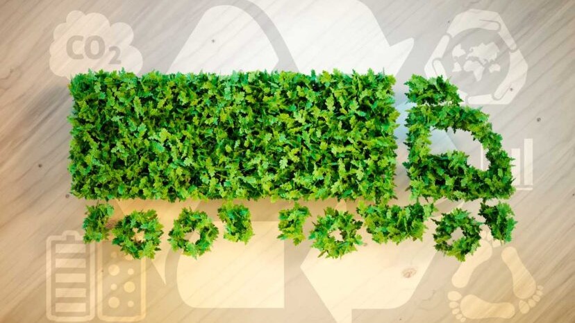 Logística verde, estrategia para la sostenibilidad empresarial