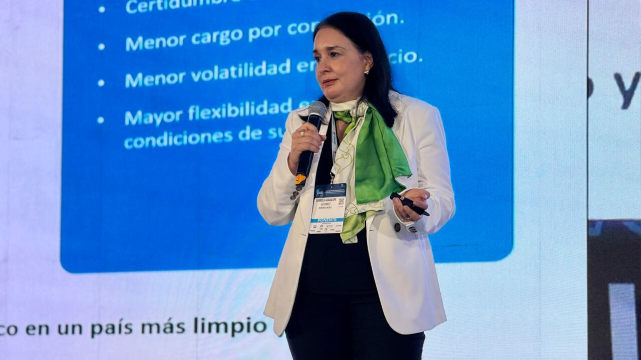 La energía define la competitividad de la manufactura automotriz: Iberdrola México