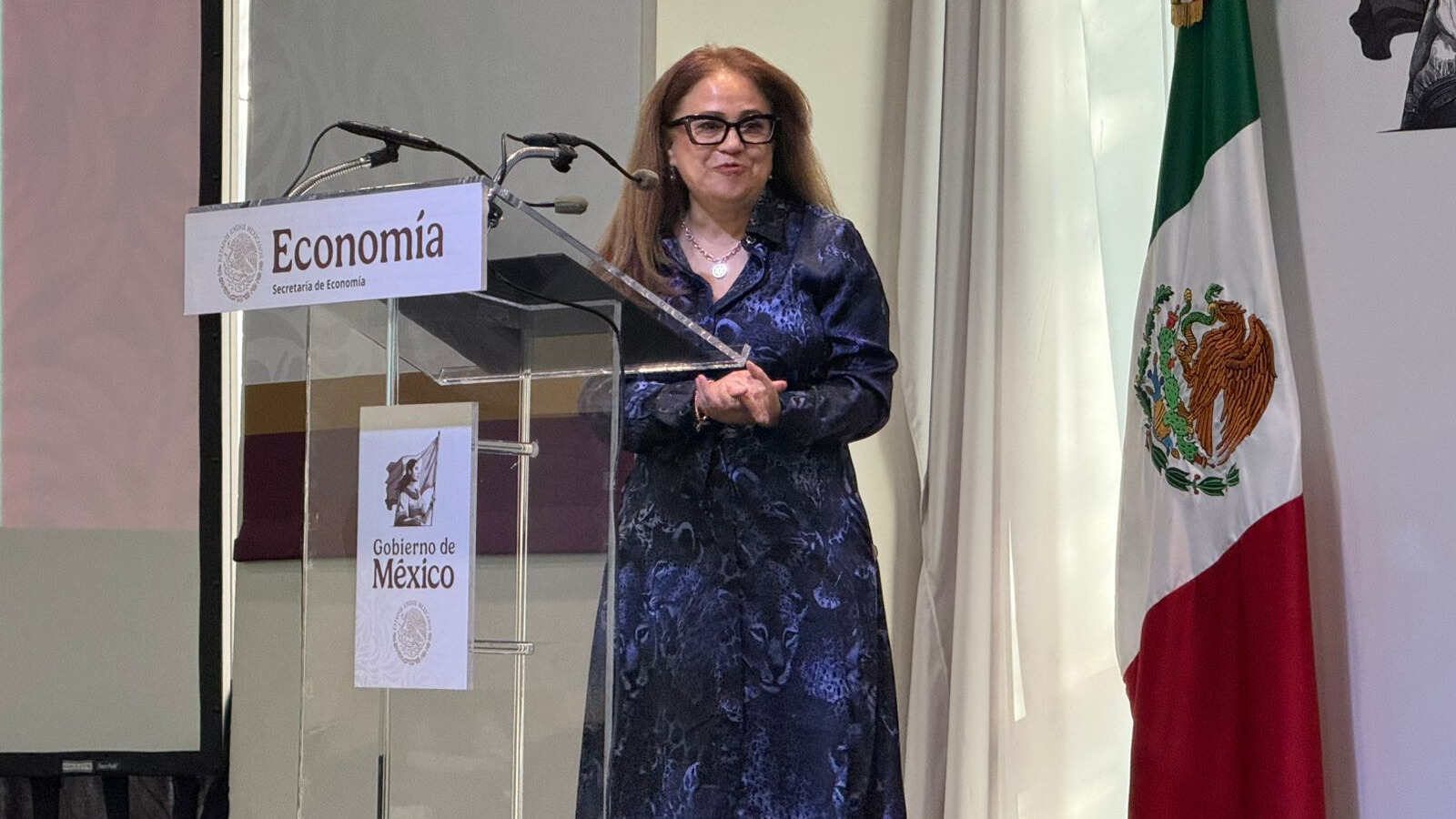 Elisa Crespo, presidenta del Clúster Automotriz Metropolitano.