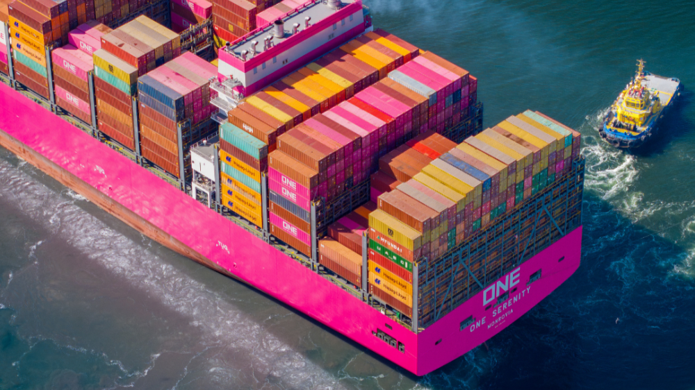 La carga contenerizada concentró el 56% del movimiento total del Puerto de Lázaro Cárdenas en enero de 2026.