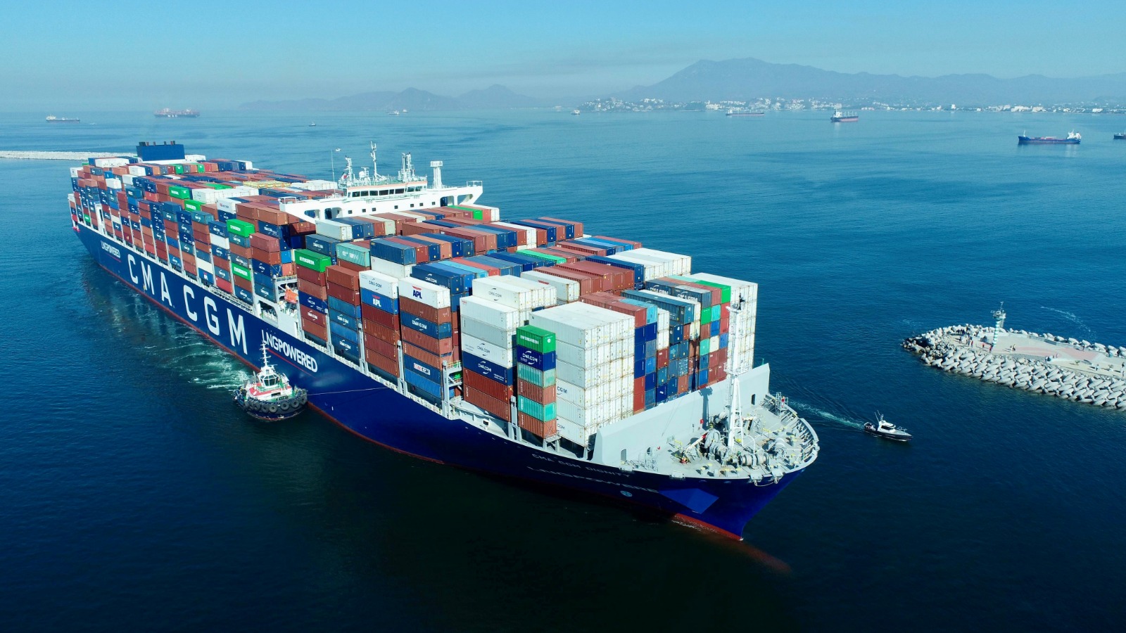 Arribaron al Puerto 12 embarcaciones mayores a 366 metros de eslora.