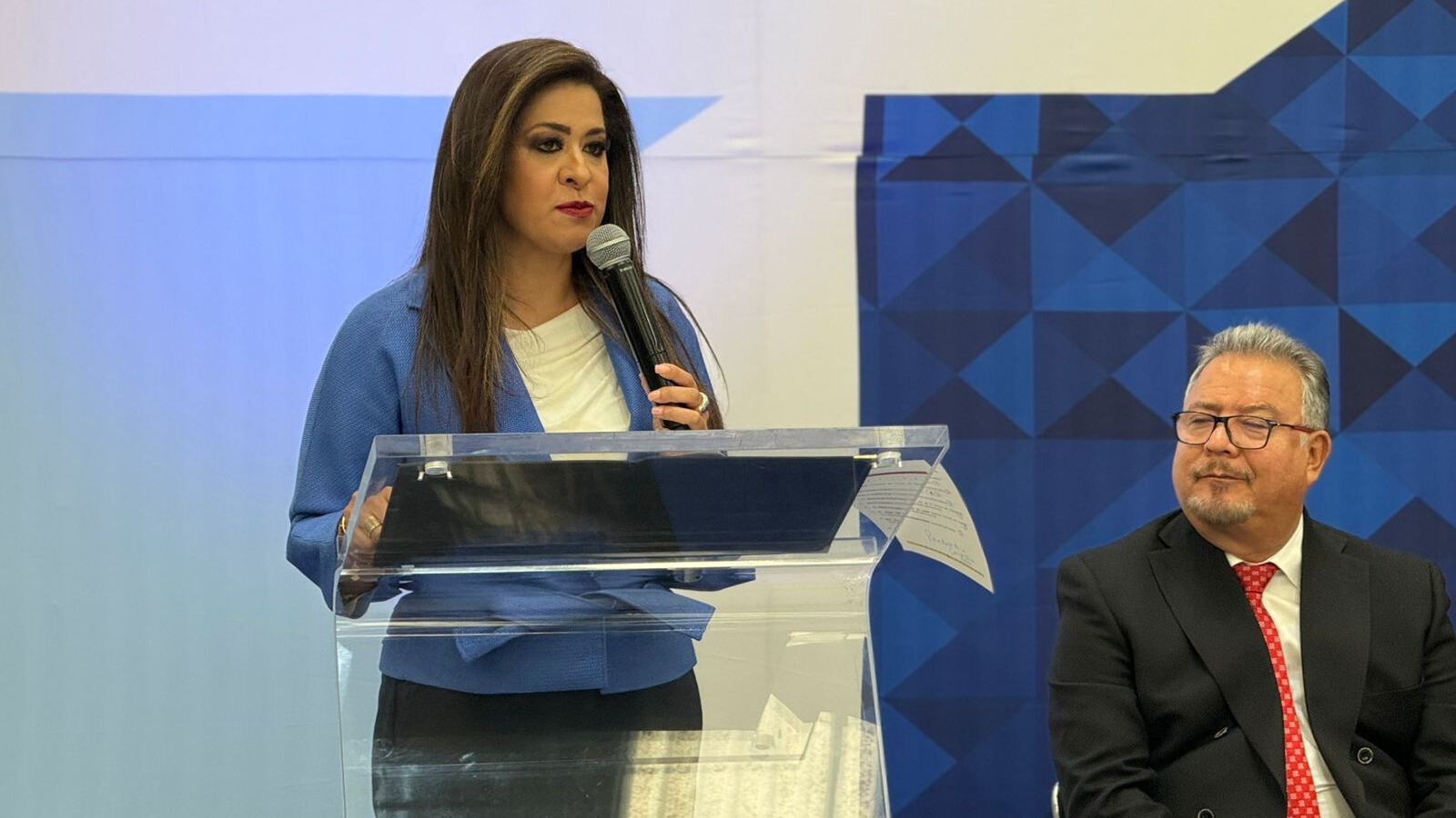 Laura González, titular de la Secretaría de Desarrollo Económico destacó que el Estado de México es el principal productor de estos artículos.