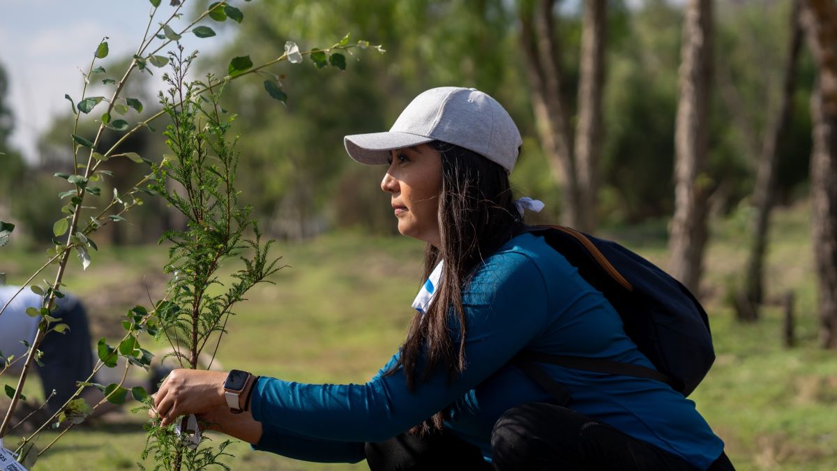 BMW San Luis Potosí: motor de empleo, inversión y sostenibilidad