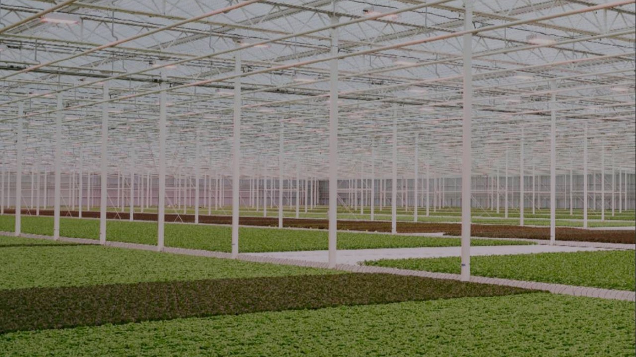 Nuevo León recibirá inversión de 200 mdd para construir el invernadero más automatizado de México