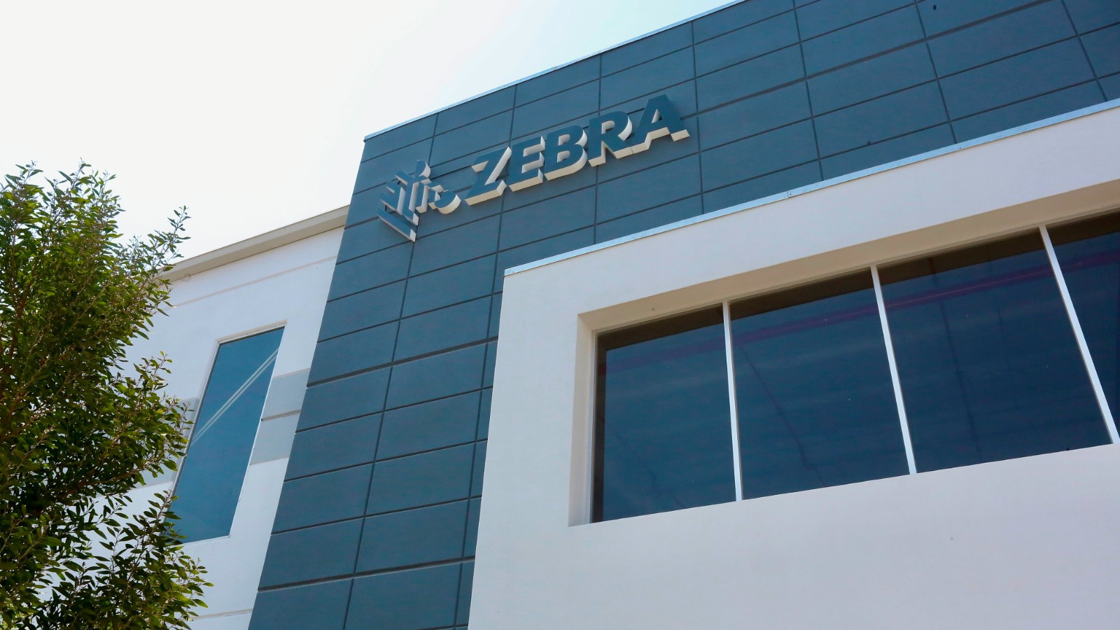 Zebra Technologies cumple 10 años impulsando la digitalización con su red de socios