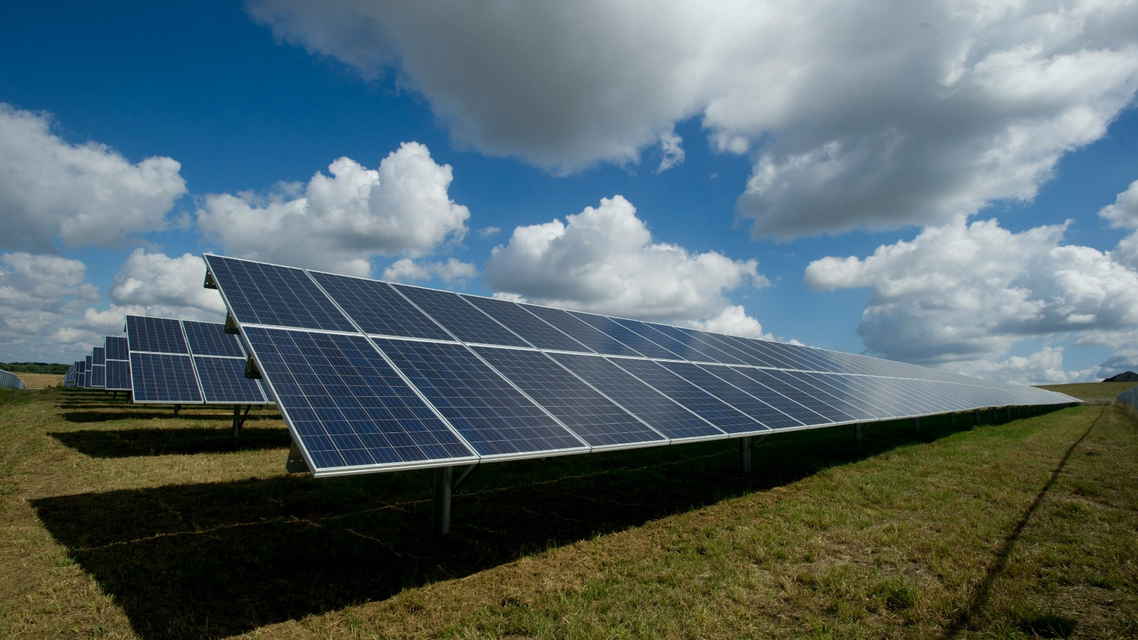 Italia impulsa alianzas en energías renovables con México a través de OpportunItaly