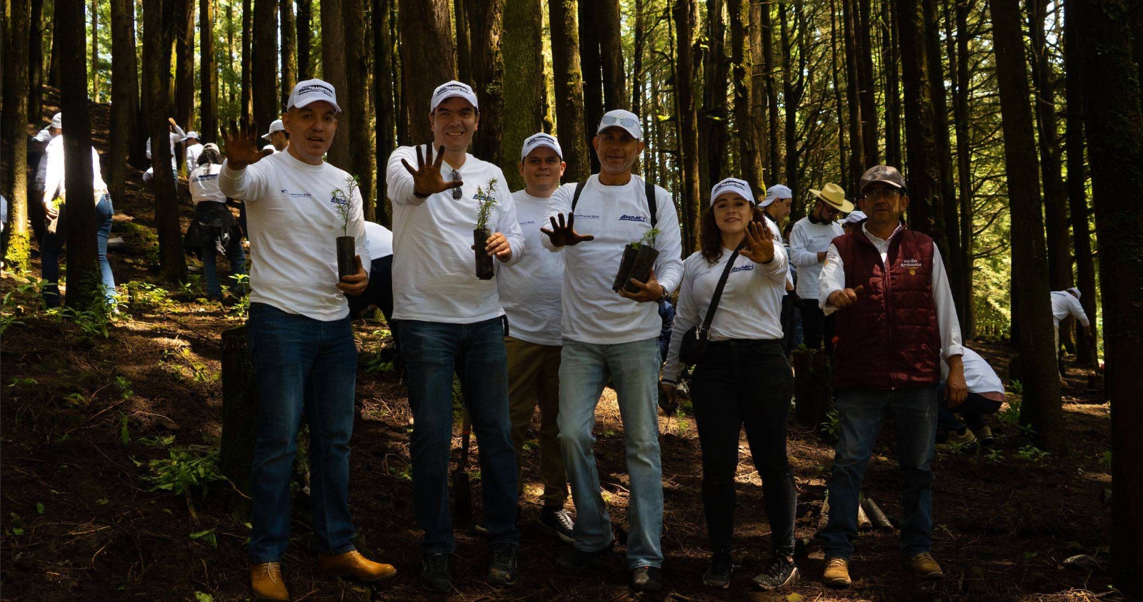ANPACT planta 700 árboles en Edomex y avanza en la descarbonización de vehículos pesados